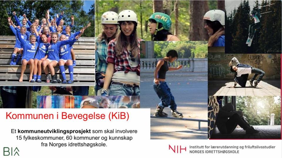 Lenkje til artikkel: Kvam deltek i forskingsprosjektet «Kommunen i bevegelse»