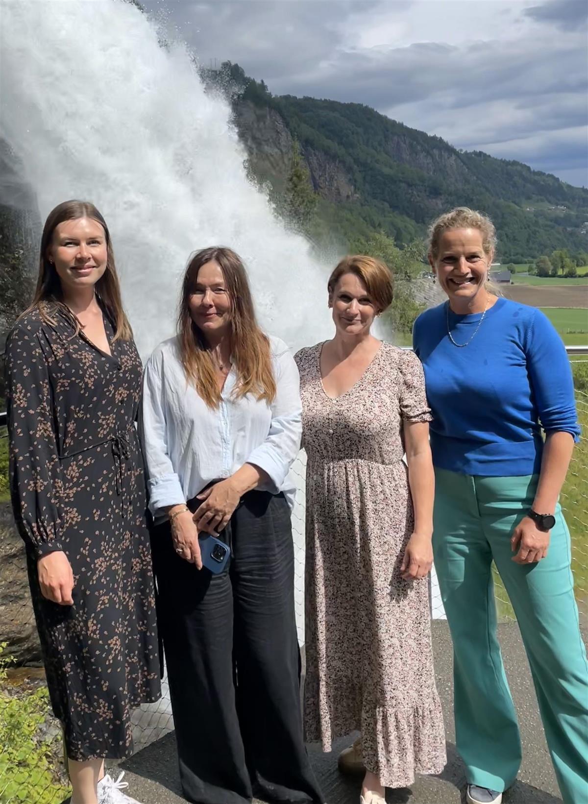 Representantar ved Steinsdalsfossen - Klikk for stort bilete