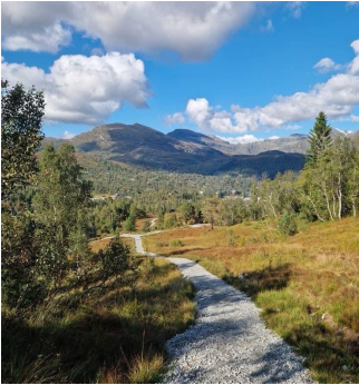 bilde frå tursti på Kvmaskogen - Klikk for stort bilete
