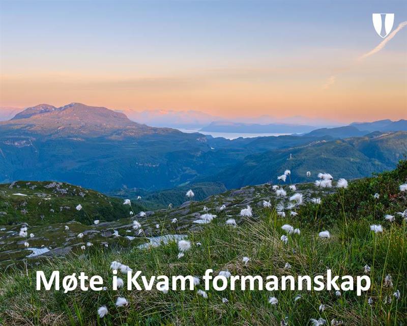 Politiske møter_ illustrasjonsbilde5.jpg