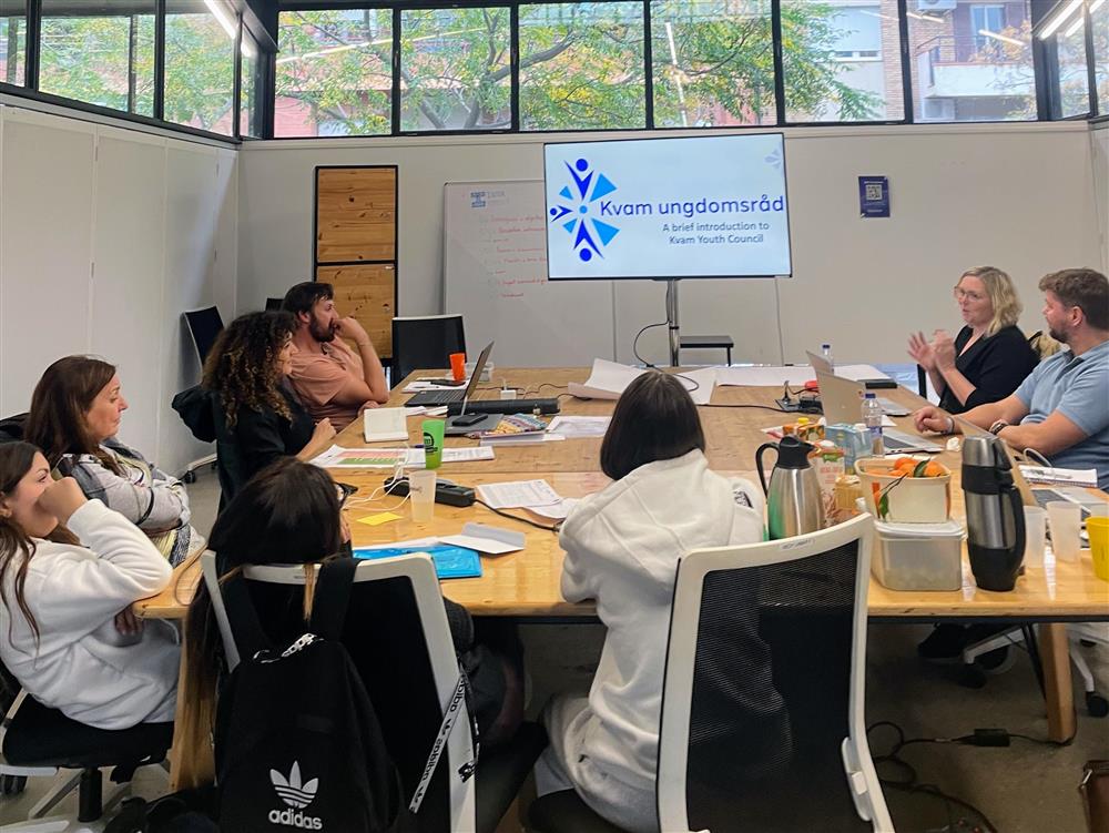 bilde frå samarbeid inne framfor skjerm - Klikk for stort bilete